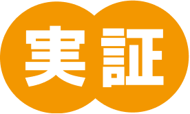 実証