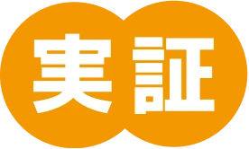 実証
