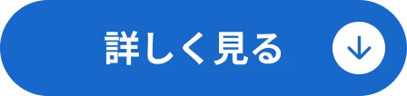 詳しく見る