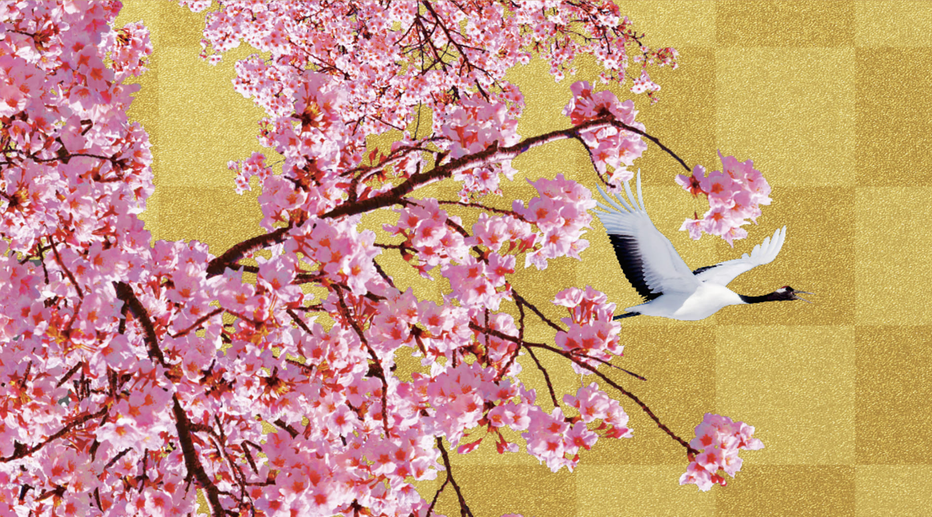 桜 & 鶴！