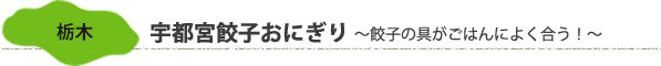 栃木「宇都宮餃子おにぎり」～餃子の具がごはんによく合う！～